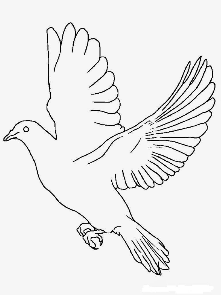 Inspirasi 31+ Sketsa Burung Untuk Mozaik