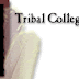 American Indians in Children's Literature in TRIBAL COLLEGE JOURNAL