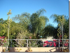DSC04847