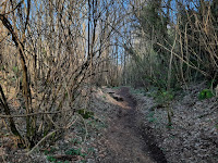 via francigena del sud da nemi a castel gandolfo