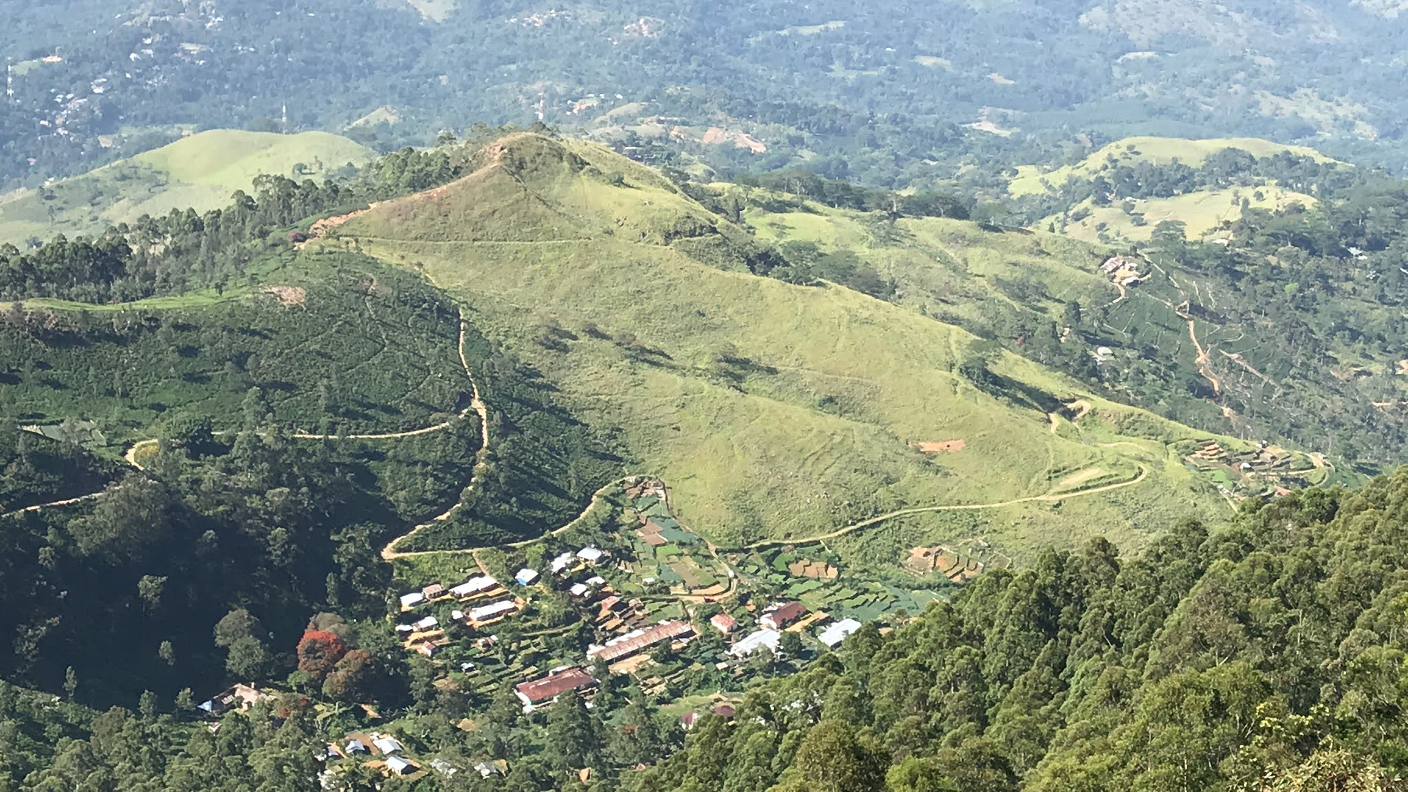 Sunrise At Lipton's Seat - Haputale, Srilanka - Amazing View