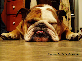 Bulldog Dogs Wallpapers 1