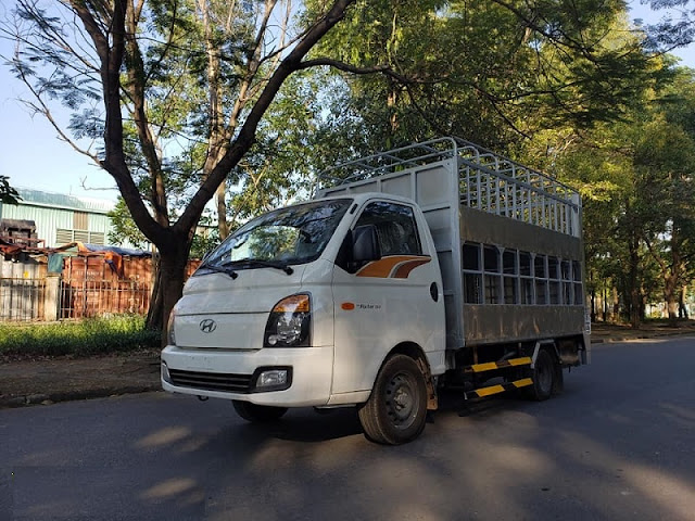 Hyundai H150 thùng chở gia súc lợn heo