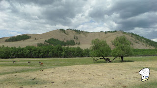 The view of the country side.