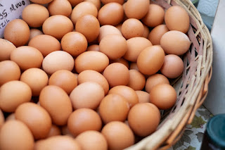 Menghadapi Tantangan dalam Bisnis Agen Telur