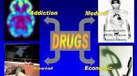 Psychoactive Drug - Effect Of Drug Abuse