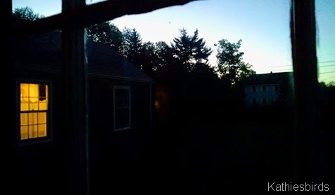 2. morning light 9-19-14