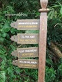 Pulau_Lakei_Bako_National_Park_07