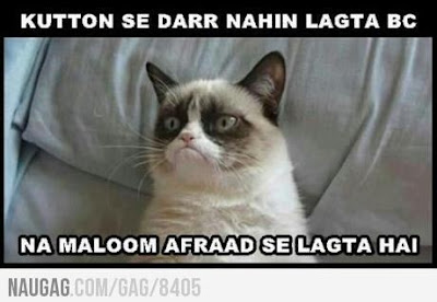 Manhoos Billi - Na Maloom Afraad