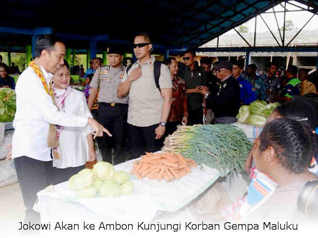 Jokowi Akan ke Ambon Kunjungi Korban Gempa Maluku