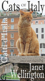 Cats Of Italy Gatti d'Italia