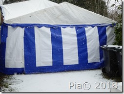 P1150044