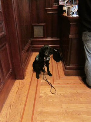 Foley sitting next to the bar in a private tasting room