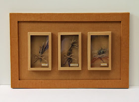 Cardboard Shadow Box for showcasing dried herbs