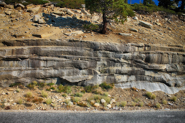 Yosemite National Park Tioga Pass geology travel field trip copyright rocdoctravel.com