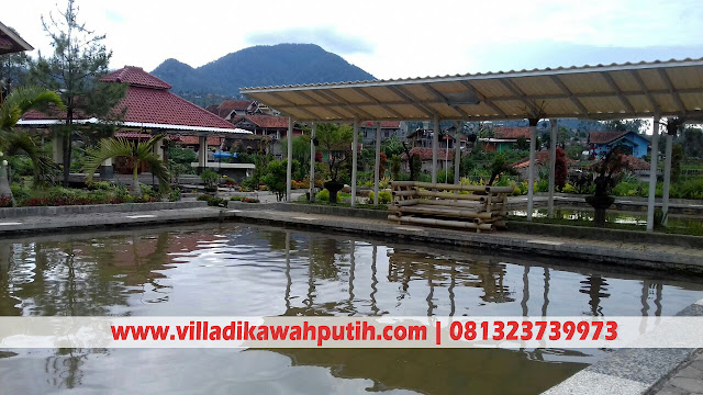 Sewa villa di Kawah putih - Villa di Kawah putih