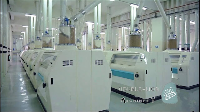 how to start a flour mill business | Double-lion Machinery