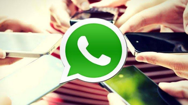 Jasa Whatsapp Bisnis