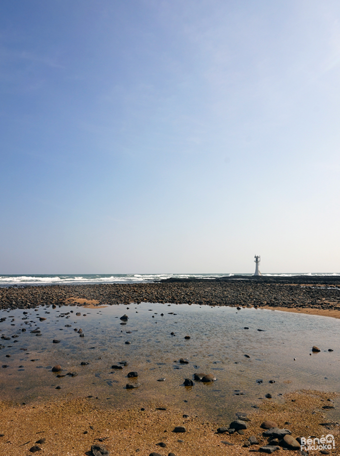 青島、宮崎