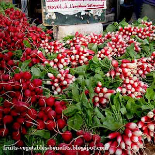 benefits_of_eating_radishes_fruits-vegetables-benefits.blogspot.com(benefits_of_eating_radishes_15)