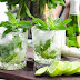 Mojito Champagne Cocktail hương vị thanh mát thuần khiết