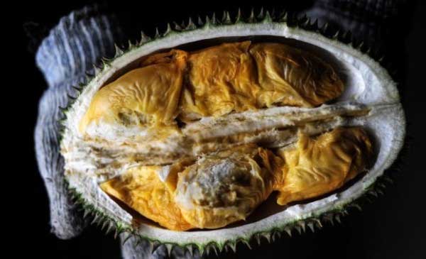 Ratusan Orang Dievakuasi Di Australia Karena Bau Durian