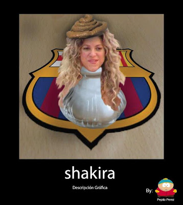 Shakira descripción gráfica