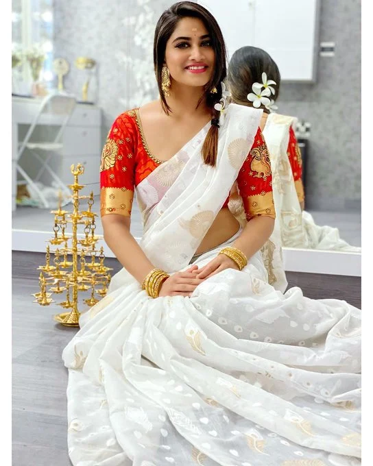 Shivani Narayanan  in Saree