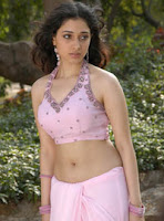 Beautiful Heroine Tamanna Experiment