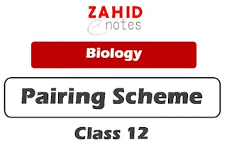 2nd year biology paper scheme 2024
