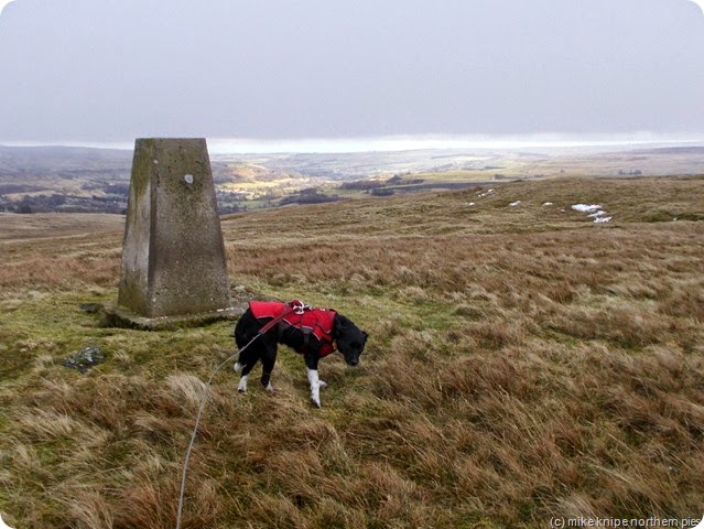 crow coalhill summit