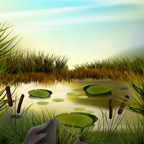 wetlands