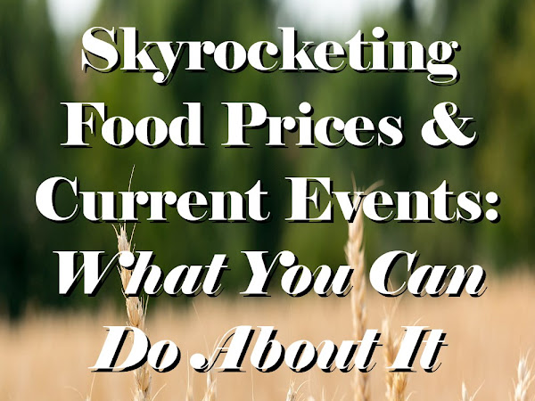 Skyrocketing Food Prices Due to Current Events: What You Can Do About It