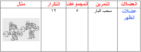 برنامج تدريب جيم للمبتدئين فى 4 أسابيع فقط