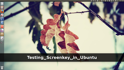 Screenkey