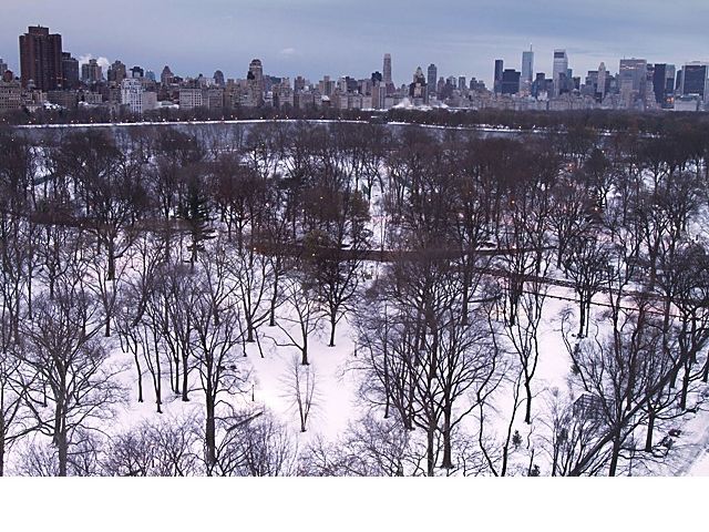 central park new york winter. central park new york winter.