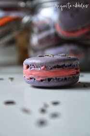 Gluten Free French Macaron Recipe