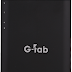 G TAB G333  