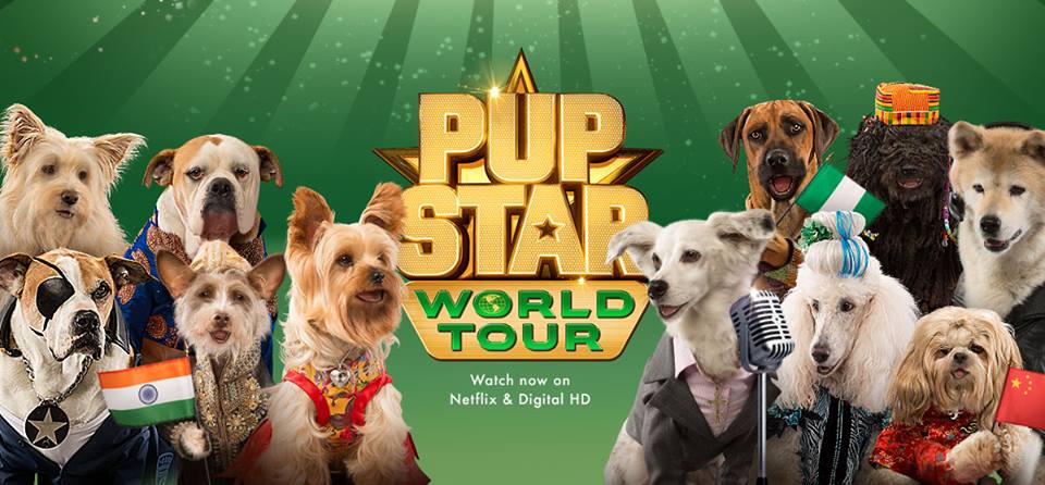 Pup Star World Tour On Netflix Mommy Katie - roblox series 5 white collar dog 3 inch mini figure with gold cube and online code loose