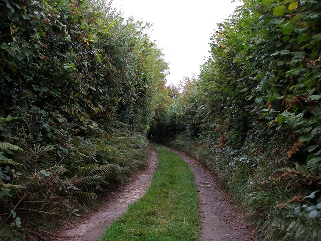 5th_october_2009