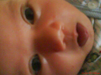 Marsya at 12 days