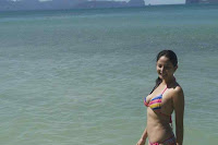 katrina halili, sexy, pinay, swimsuit, pictures, photo, exotic, exotic pinay beauties, hot