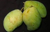 mangga cengkir