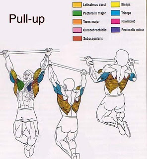 pull ups