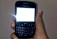 Blackberry Curve 8520 Blank White LCD solved