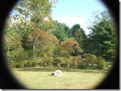 DSCF0086