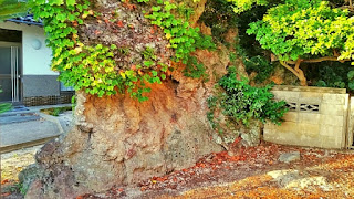 人文研究見聞録：屏風岩（国譲り岩） ［島根県］