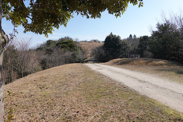 鳥取県西伯郡大山町妻木 むきばんだ史跡公園 環濠からの眺望