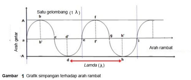 Gelombang Transversal dan Gelombang Longitudenal