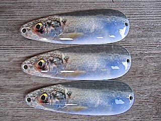 Flutter Spoon,LiveAction Threadfin